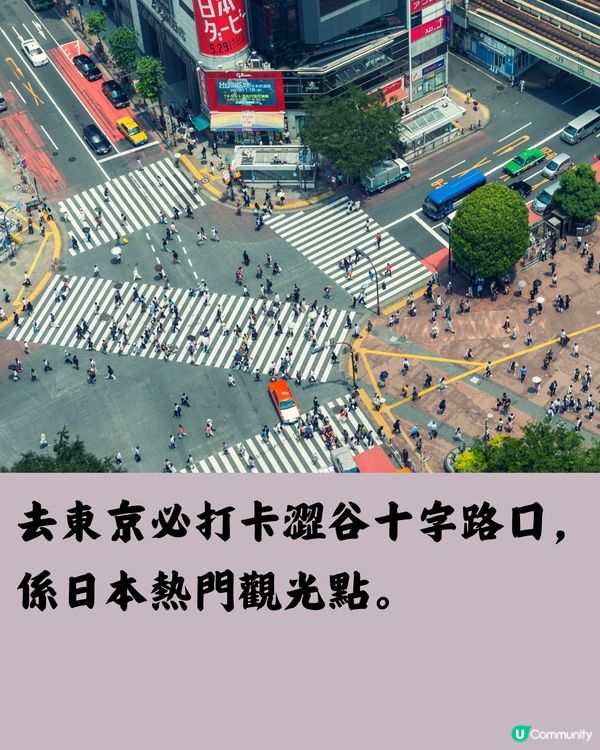 遊日注意‼️東京澀谷實施「禁酒令」料10月生效