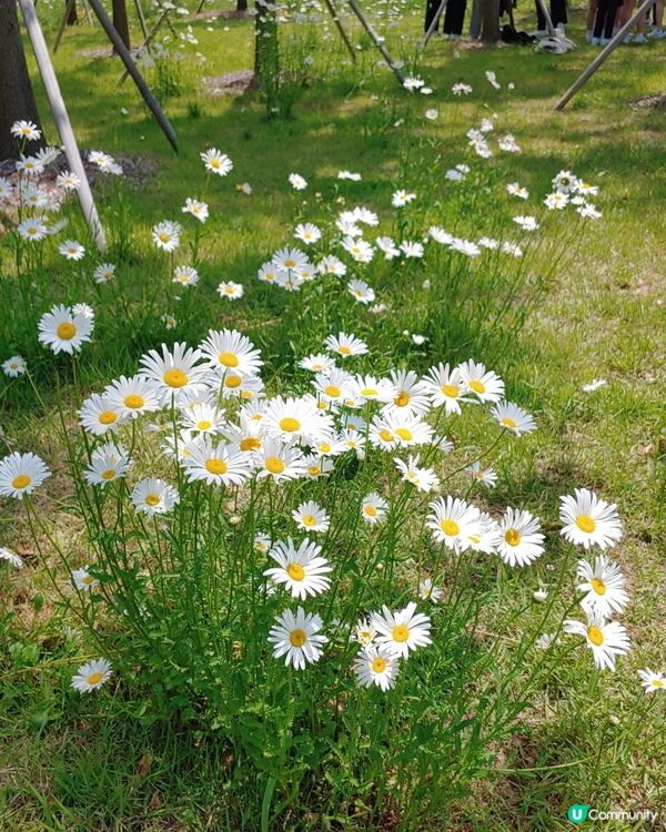 讓腦袋休息的Cafe 空間