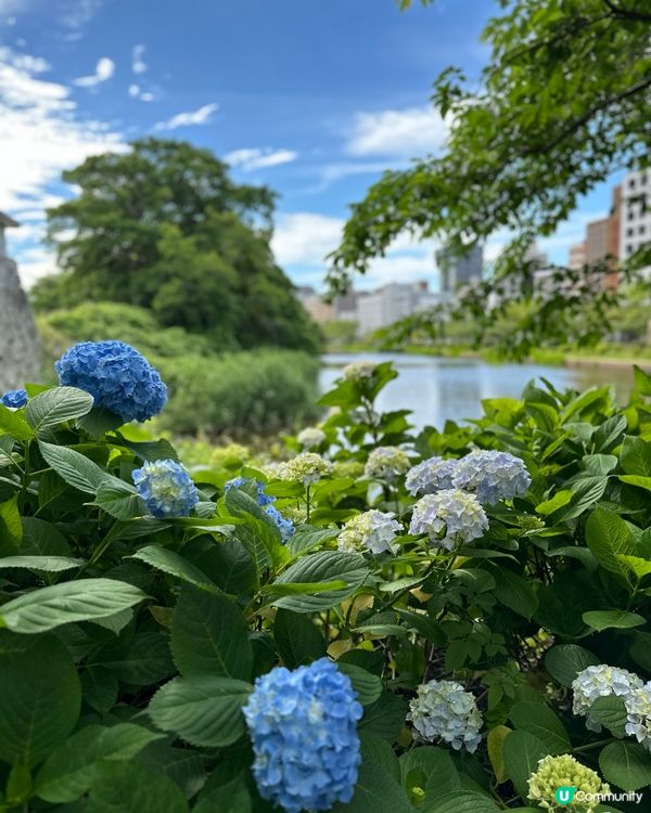 每次必訪～福岡大濠公園