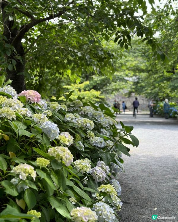 每次必訪～福岡大濠公園