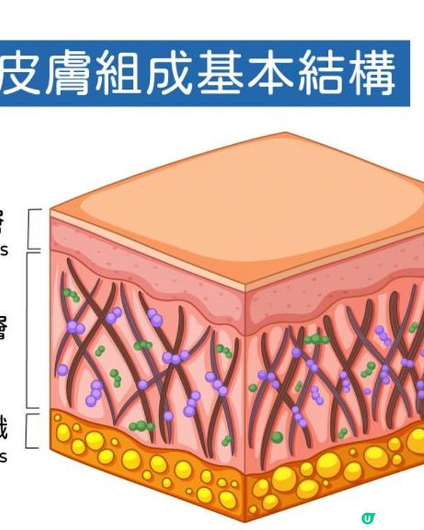 洗眉2026年最新推薦指南：洗眉邊間有效？洗眉邊間好？