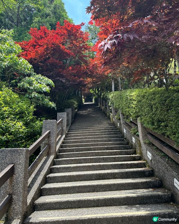 說走就走的6日生日旅行 台灣行 Day 4