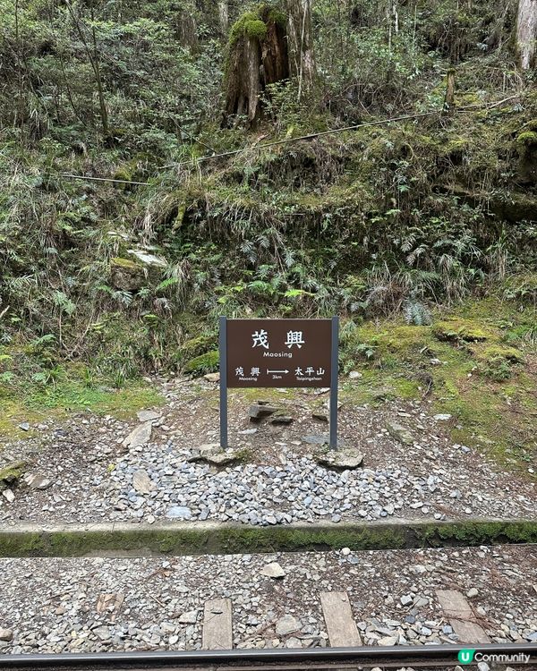 說走就走的6日生日旅行 台灣行 Day 4