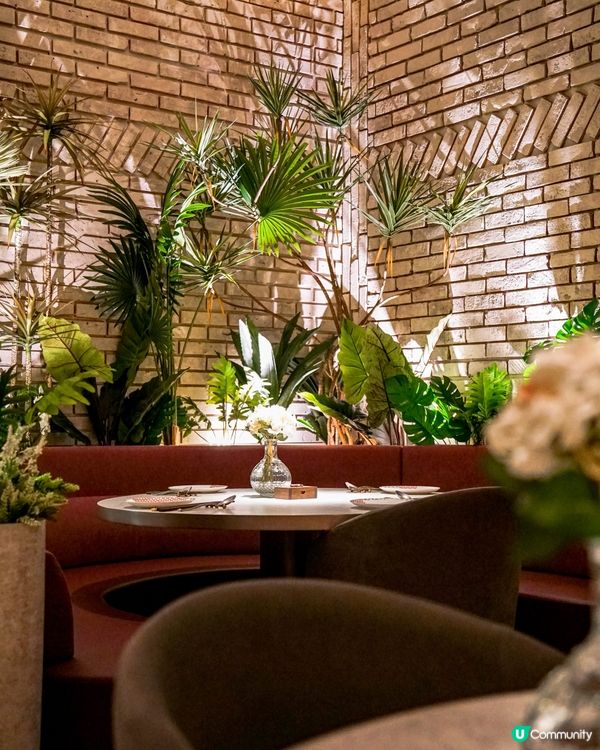 Mira Place精緻中泰fusion菜 有埋露天位🏝️