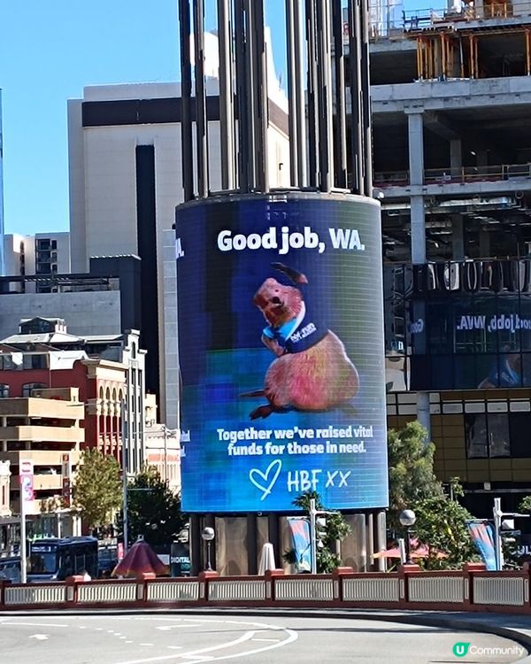 [西澳活動] 百萬行~人山人海的HBF Run