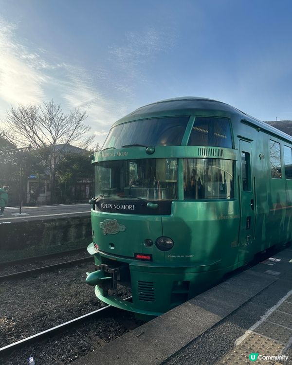 出發湯布院之乘搭「油布院之森」