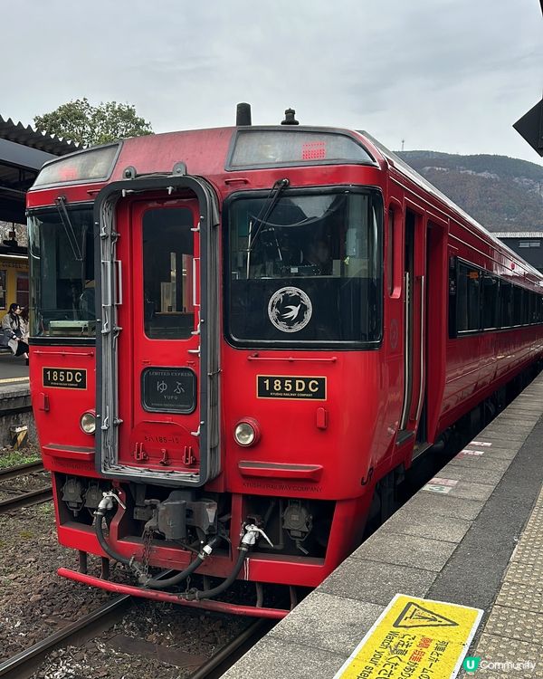 出發湯布院之乘搭「油布院之森」