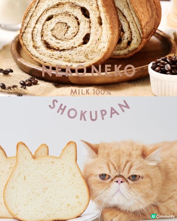 日本必買手信🐱超人氣の貓貓麵包💕