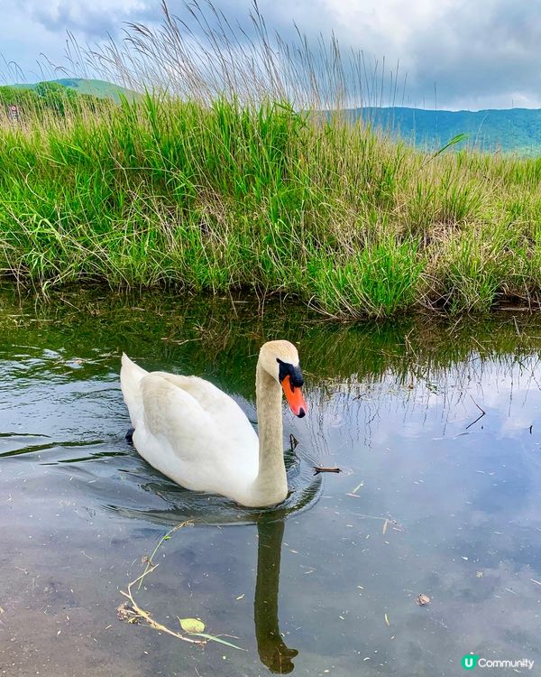 山中湖🗻有幸遇到富士山露臉