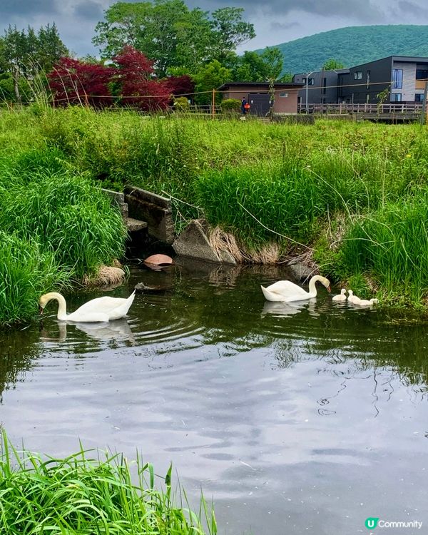 山中湖🗻有幸遇到富士山露臉