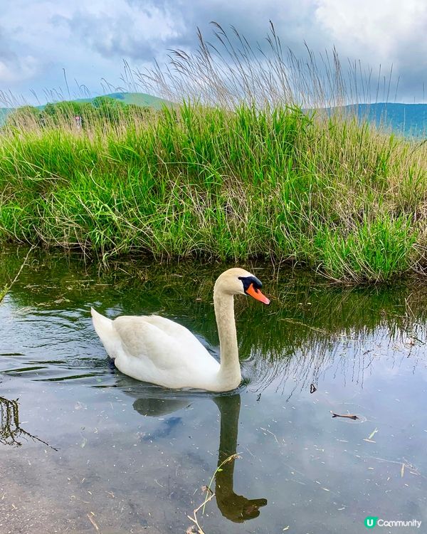 山中湖🗻有幸遇到富士山露臉