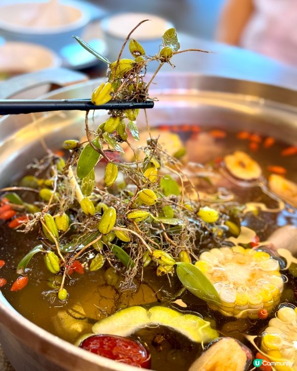 深圳第一的葵花脆皮雞生蠔火鍋