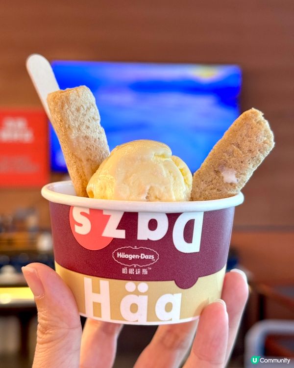 深圳第一的葵花脆皮雞生蠔火鍋