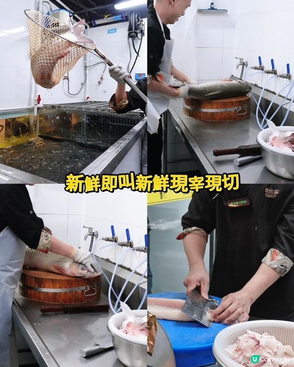 深圳即撈現煮脆肉鲩⭐人均$90+