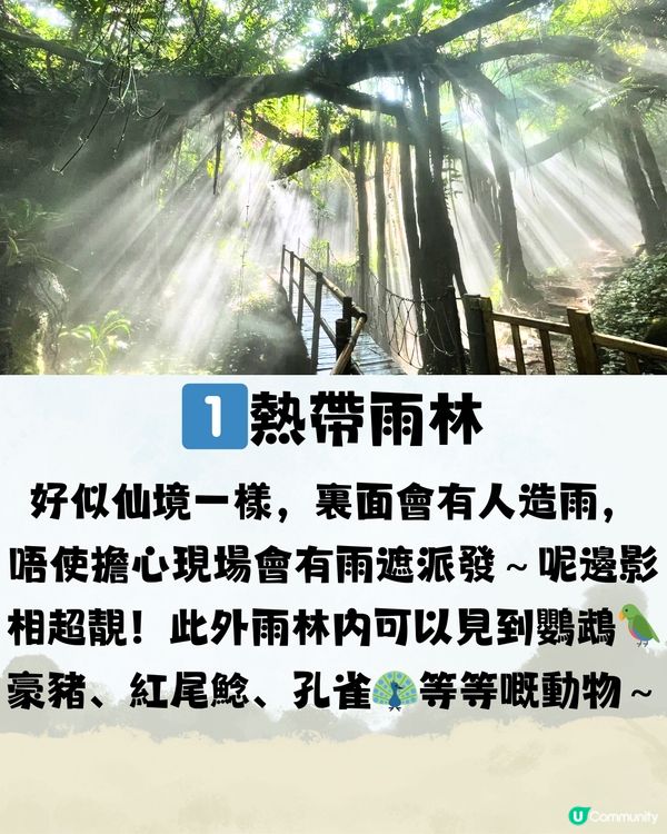 深圳青青世界遊玩攻略🔖10大必玩項目🔥附購票方法🎫