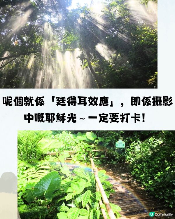 深圳青青世界遊玩攻略🔖10大必玩項目🔥附購票方法🎫