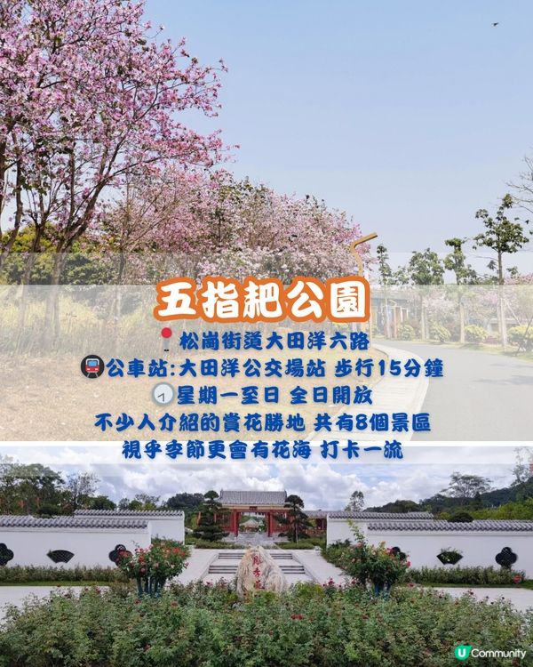 深圳寶安區10個必去公園-下集💐