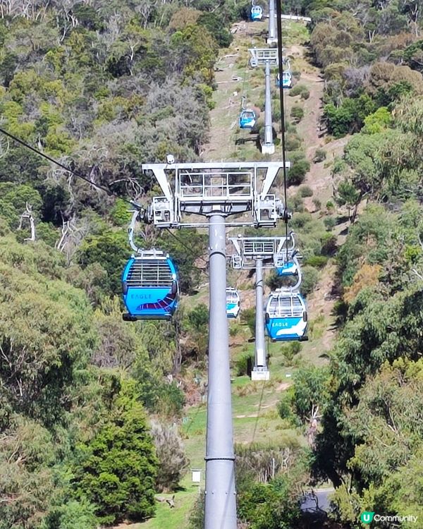 高空欣賞莫寧頓半島的美景