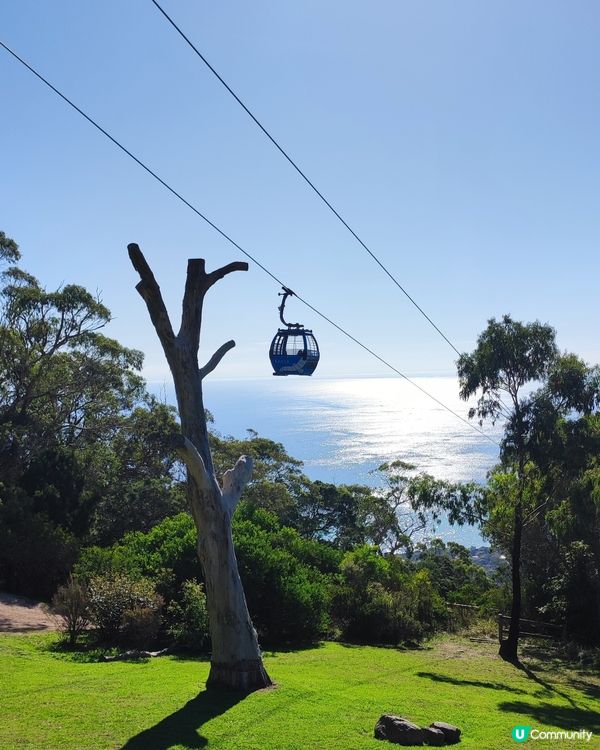 高空欣賞莫寧頓半島的美景