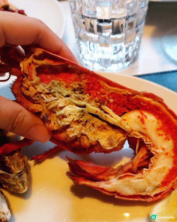 任食生蠔龍蝦Brunch