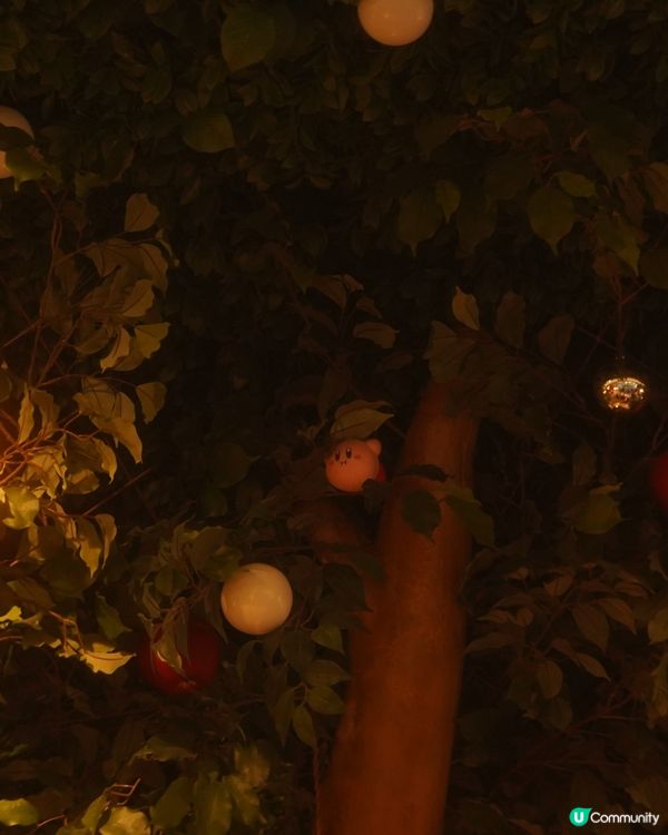 私心推薦😭KirbyCafe