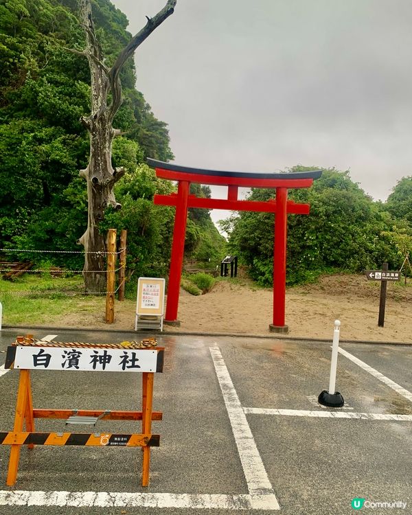 在海邊上的鳥居⛩️