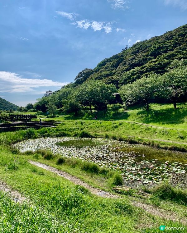 陽明山二子坪步道，全程是無障礙全長1.8公里，很適合帶長輩小...