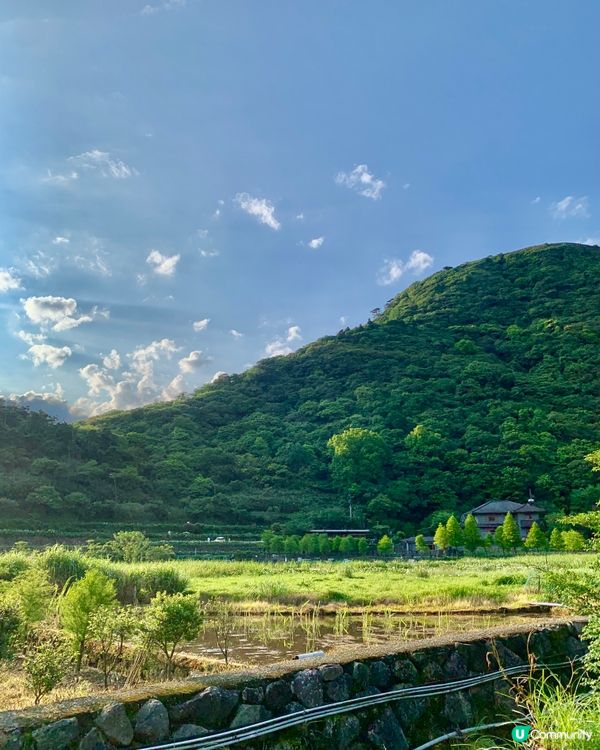 陽明山二子坪步道，全程是無障礙全長1.8公里，很適合帶長輩小...