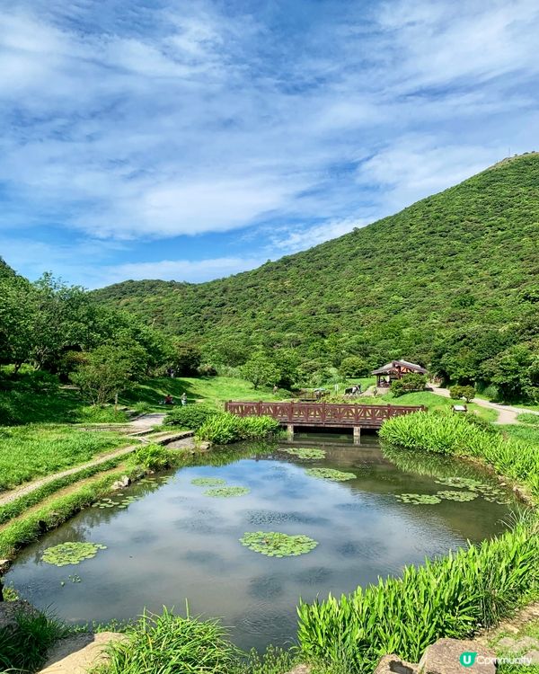 陽明山二子坪步道，全程是無障礙全長1.8公里，很適合帶長輩小...