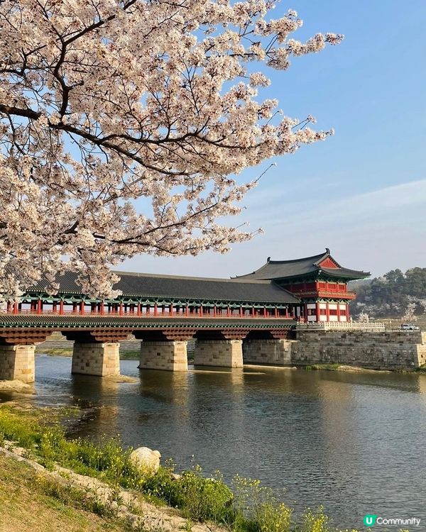慶州日夜美景-月精橋 日景