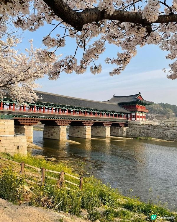 慶州日夜美景-月精橋 日景