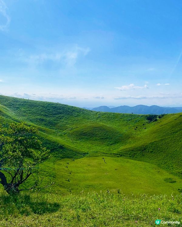 位於靜岡縣伊東市的大室山是一座海拔580m的火山,特徵是其輪...