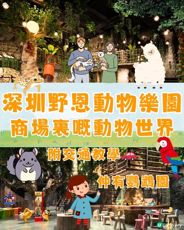 深圳野恩動物樂園5大必探店因素🦌附交通教學🚗