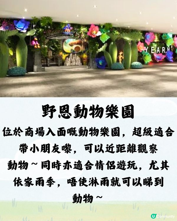 深圳野恩動物樂園5大必探店因素🦌附交通教學🚗