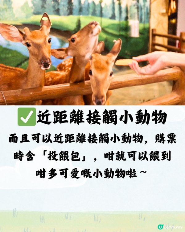 深圳野恩動物樂園5大必探店因素🦌附交通教學🚗