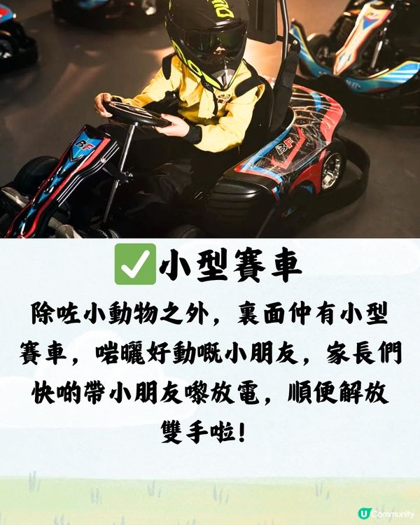 深圳野恩動物樂園5大必探店因素🦌附交通教學🚗