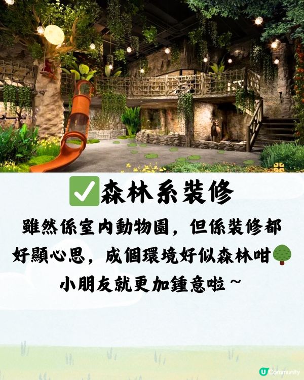 深圳野恩動物樂園5大必探店因素🦌附交通教學🚗