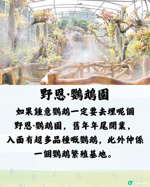 深圳野恩動物樂園5大必探店因素🦌附交通教學🚗