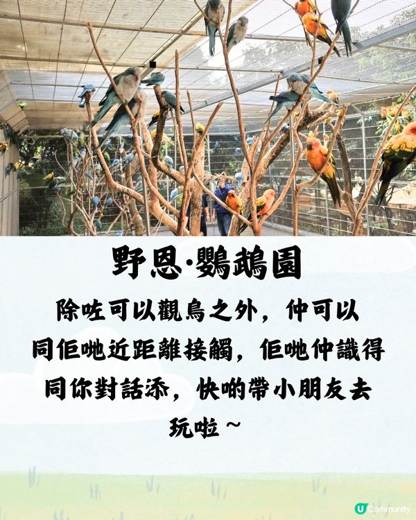 深圳野恩動物樂園5大必探店因素🦌附交通教學🚗