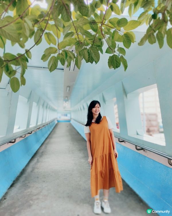 觀塘打卡好去處