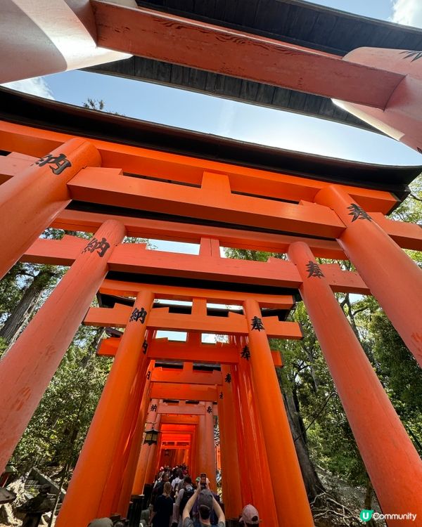 伏見稻荷大社 之「千本鳥居」