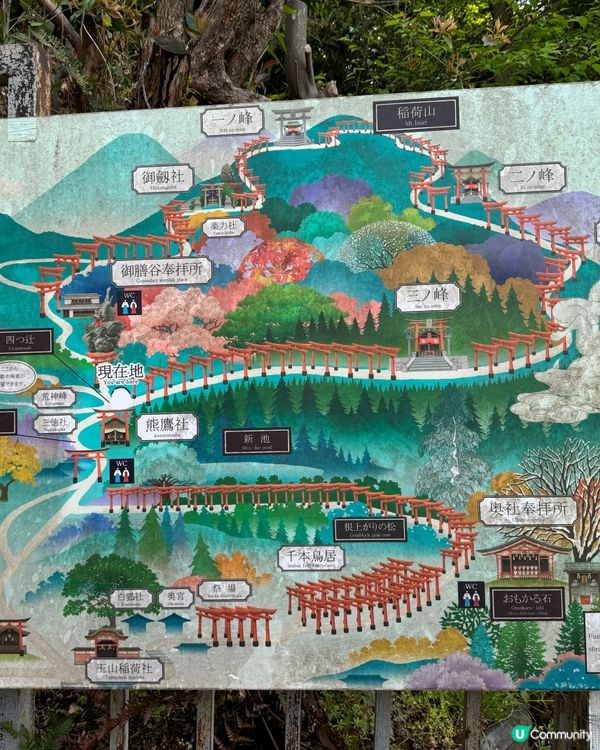 伏見稻荷大社 之「千本鳥居」