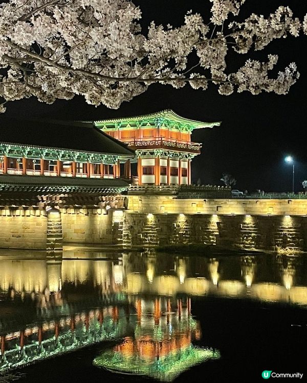 慶州絕美夜景推介：月精橋