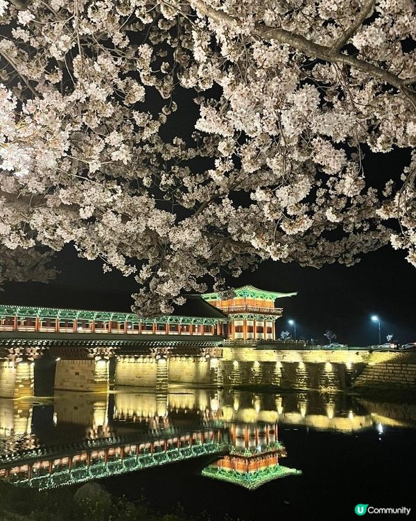 慶州絕美夜景推介：月精橋