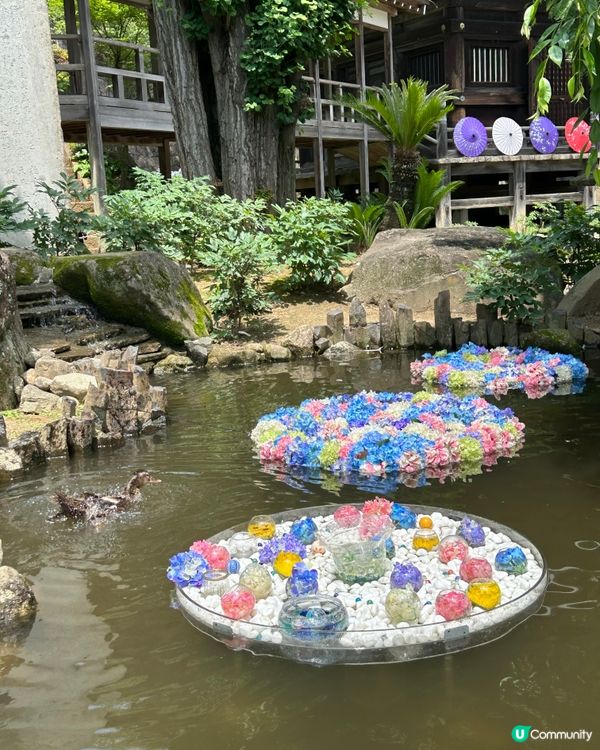 夏日限定爆紅打卡位 — 「雨引觀音」