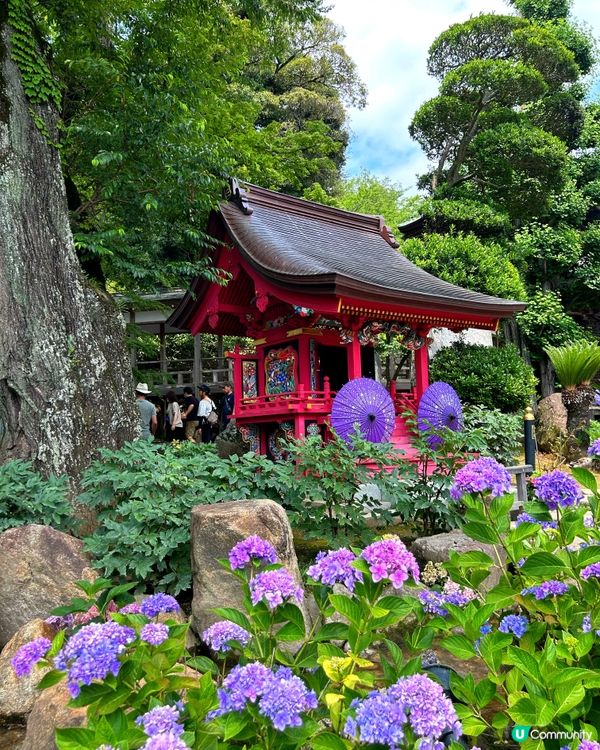 夏日限定爆紅打卡位 — 「雨引觀音」