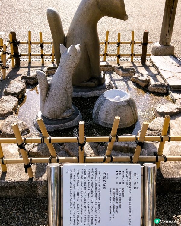 白狐之湯 《湯田溫泉》🦊🦊