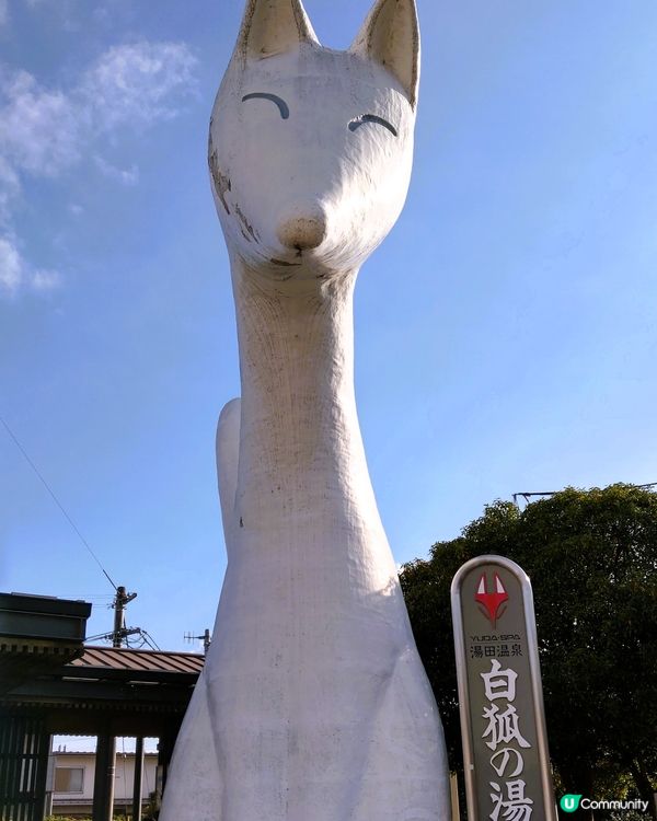 白狐之湯 《湯田溫泉》🦊🦊