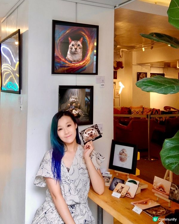 6️⃣月中環看展- 迷你中環寵物攝影展🐶🐱