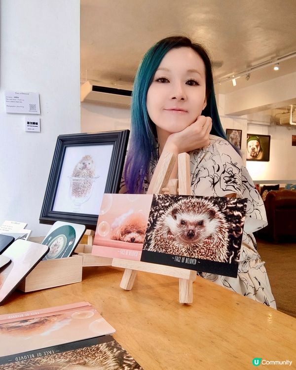 6️⃣月中環看展- 迷你中環寵物攝影展🐶🐱